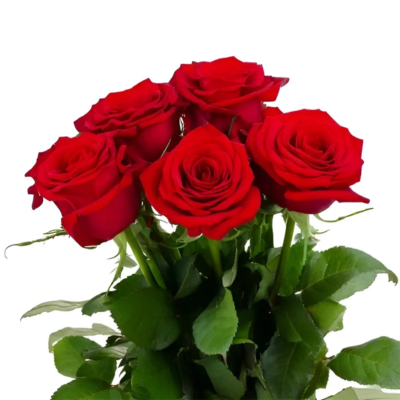 Christmas bouquet with red and white flowers