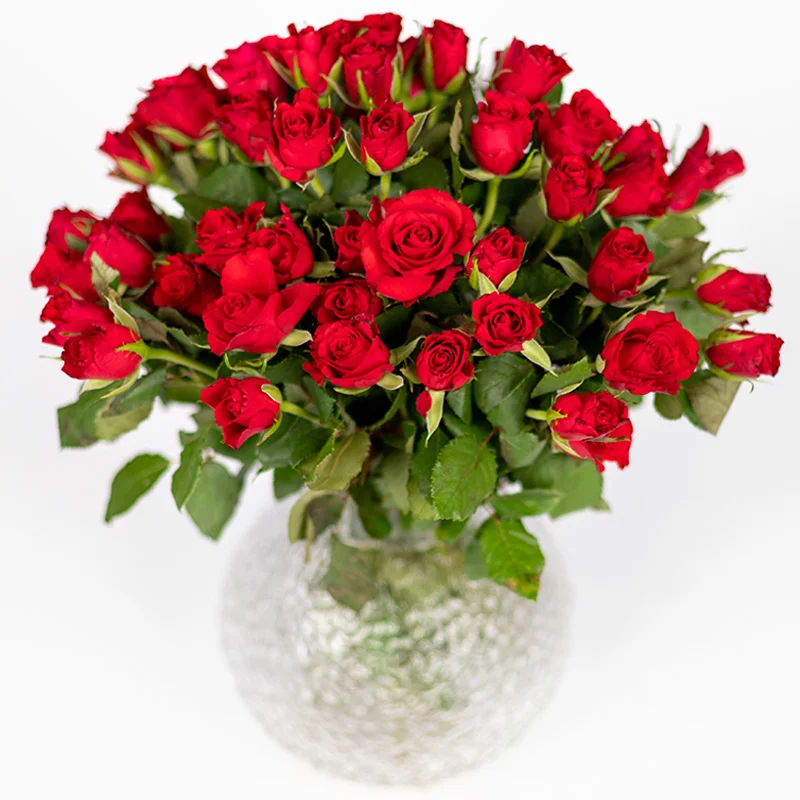 Red roses for Valentine's Day